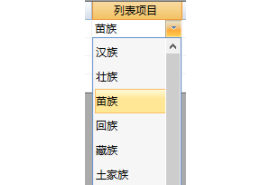 列表項(xiàng)目